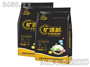 ​ԭ�ϼ�1���VԴ�S����⛣���Ȼ����̼��أ�-�VԴ��-�������� 