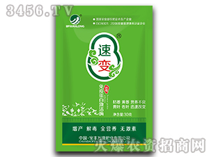 ���ߵ��׼���ø-��׃-���S�f¡