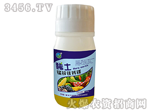 ϡ���}�V�i�\�F-���S�f¡