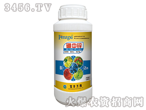 500g�����\-���S�f¡