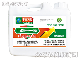 �ߝ�s΢�������-�f¡ʮ����-���S�f¡