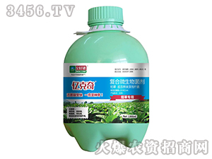 ���݌��Ï�(f��)��΢�������-�|����-���S�f¡