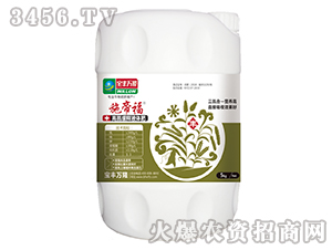 �ߵ����Һ�w��-ʩ�۸�-���S�f¡