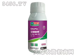 500ml�������0-550-300+TE-���S�f¡