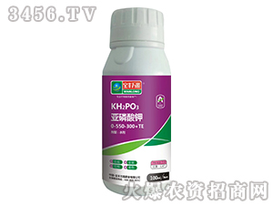 100ml�������0-550-300+TE-���S�f¡