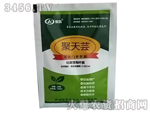 ​�����|�������T�����ᣩ-�ۄP