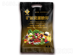 �VԴ�S�����-�����S-���S�r(n��ng)�I(y��)