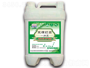 ��������-һ�_�`-��Z�r(n��ng)�I(y��)