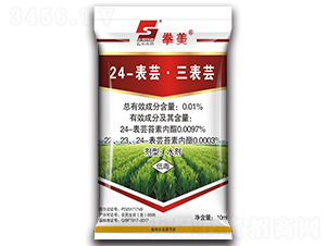 24-���|�������|ˮ��-ȭ��-�L�p�r(n��ng)ˎ