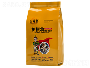 �o(h��)���������Y(ji��)���x(ch��ng)��(zhu��n)�ã�-��ڌ�-�{(l��n)���r(n��ng)�I(y��)