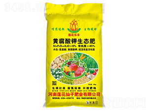 �S��������B(t��i)��-ɏ�����S-ɏ������