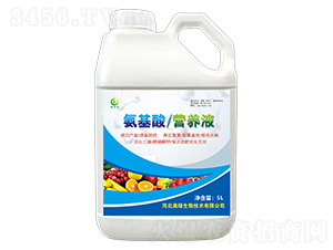 �������ͷ���-�W�G�S-�W�G����