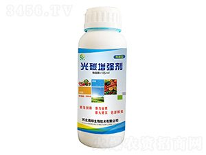 ���V�͹�̼������-�W�G�S-�W�G����