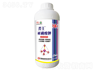 �������-����-��巉�(m��ng)