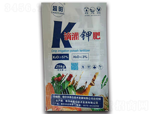 �ι�⛷�-���-�������g(sh��)