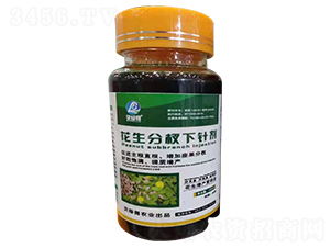 ���������ᘄ�-ؐ�G��