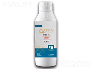 �Ǵ��}-�|���r(n��ng)�I(y��)