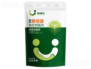 ΢�������-�|��������-�ڼژ�