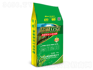 �������H���I�B(y��ng)��-�}�A����-���D