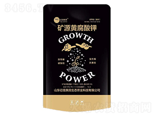 �VԴ�S�����-�|�żZ��-�|������