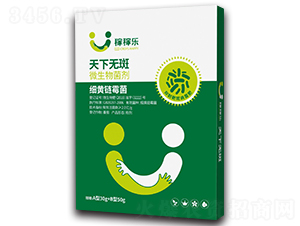 ���S�ù��-���o��-�ڼژ�