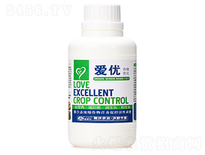 ���ϑB(t��i)��s����I�B(y��ng)�ٿػ��Ծ���-�ۃ�(y��u)-�m���r(n��ng)�I(y��)