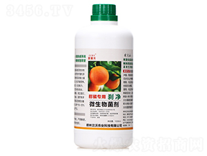 ���ٌ���΢�������-�x��-�m���r�I(y��)