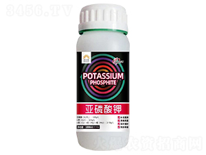 �������-�֠���