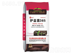 �o(h��)���365-��ɏ