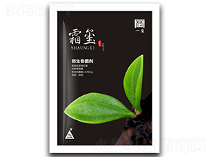 ΢�������-˪�t-һ�t