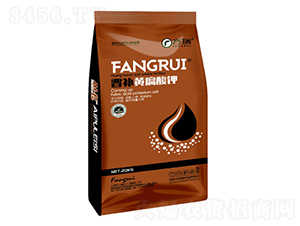 �x�a�S�����-����