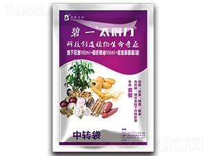 ̫����-��һ-�̄�����