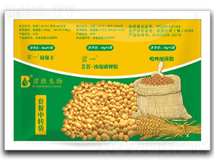 �ײ����D��-��һ-�̄�����