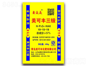 �����S���@19-19-19-�����S