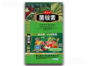 ȫ�I�B(y��ng)С�������-���@��-�����S