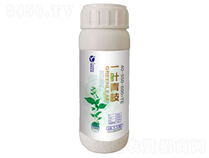 һ�~��֦-�A�˱���