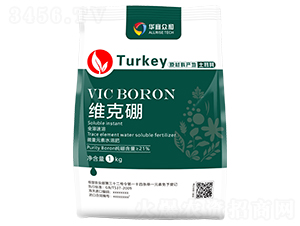 �S����-�A�˱���