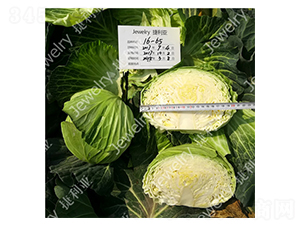 �ݸ�1665-���{(l��n)�N��-������