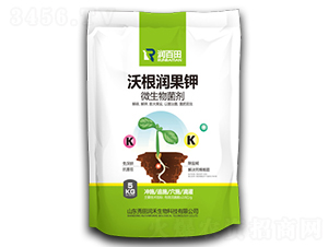 �ָ���(r��n)���-���(r��n)��