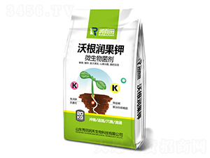 20kg�ָ���(r��n)���-���(r��n)��