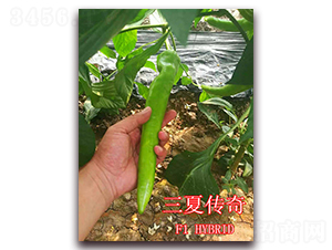 ���Ă���-�����N��-��ʢ�r(n��ng)�I(y��)