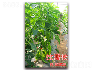 ��M֦-�����N��-��ʢ�r(n��ng)�I(y��)