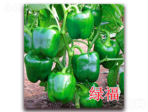 �G��-�����N��-��ʢ�r(n��ng)�I(y��)