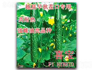 ϲ��-�S�ϷN��-��ʢ�r(n��ng)�I(y��)