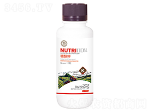 �Ǵ��-�ۃ|�r����