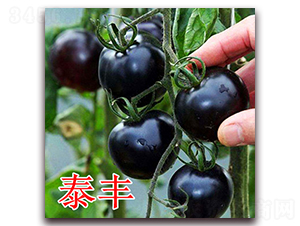 ̩�S-���ѷN��-��ʢ�r(n��ng)�I(y��)