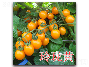 �ᭇ�S-���ѷN��-��ʢ�r(n��ng)�I(y��)