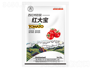 ���t�����Ѽt��-�ۃ|�r(n��ng)����