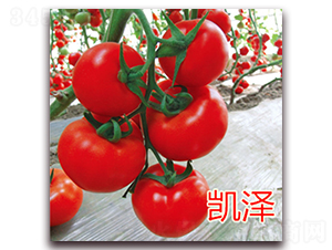 �P��-���ѷN��-��ʢ�r(n��ng)�I(y��)