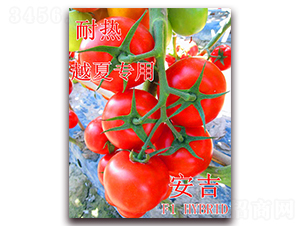 ����-���ѷN��-��ʢ�r(n��ng)�I(y��)